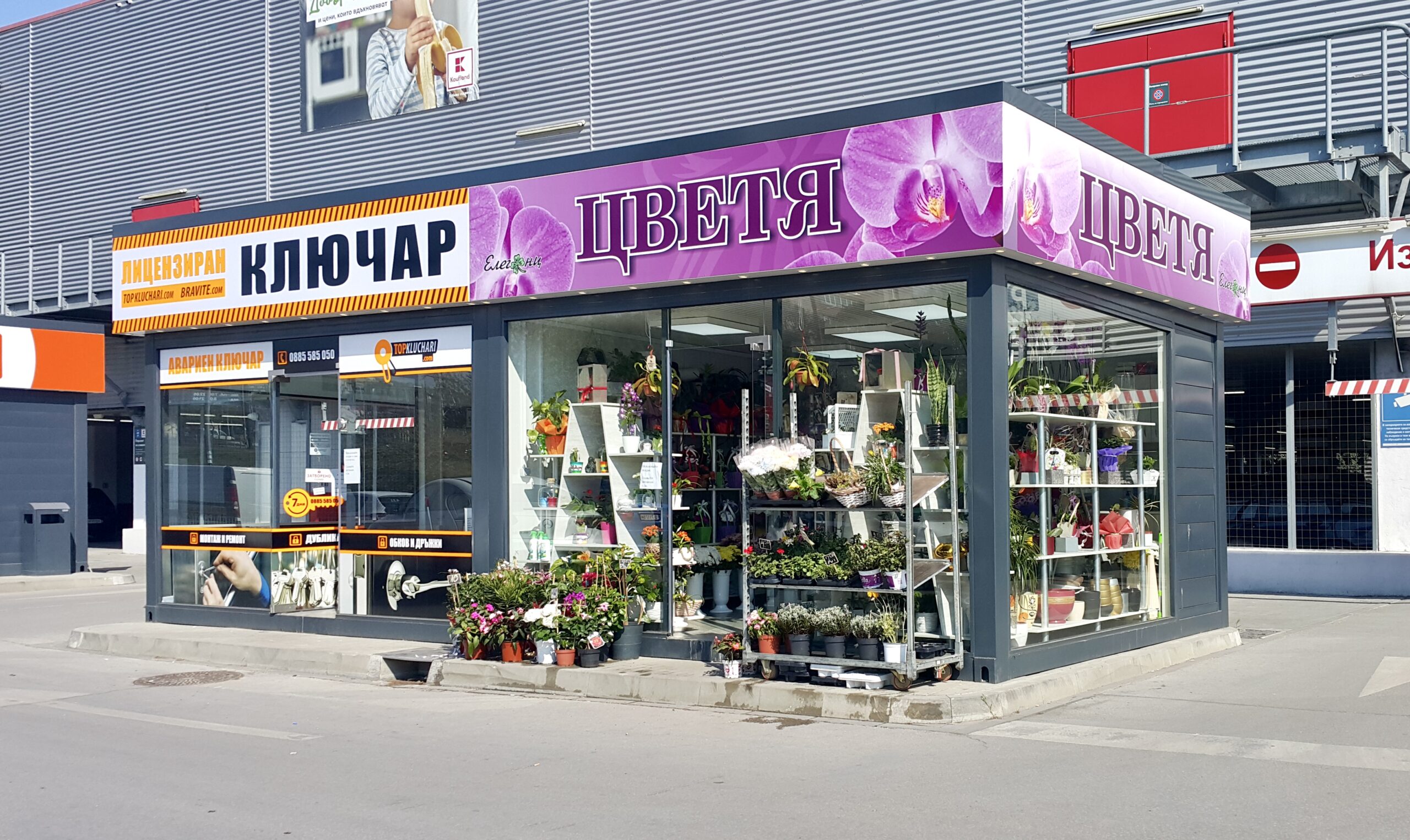 Commercial Container Plant K 1