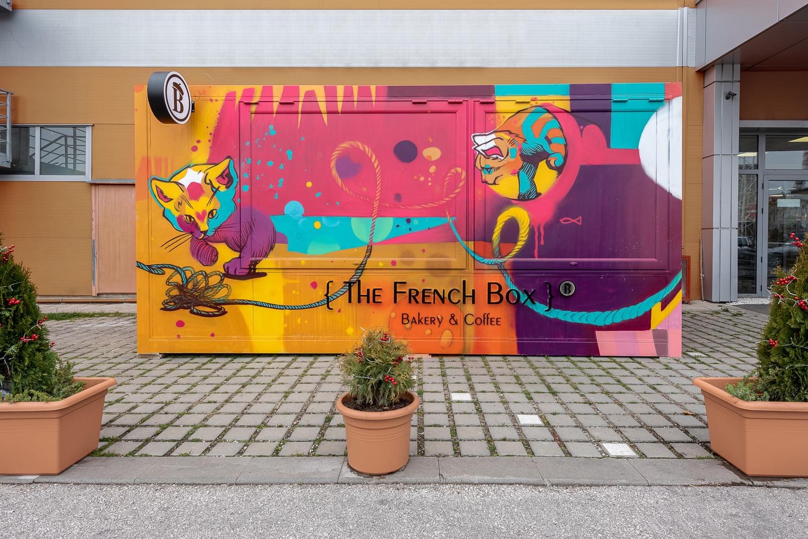 Commercial Container French Box 4